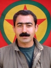 Harun Şiyar - Ali Cilo