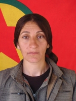 Rozerin Kemanger - Azer Ensarinejat