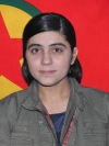 Arîn Ararat – Rana Kahtan Elî