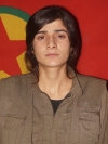 Agirîn - Amed Arslan