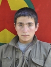 Rojhat Siyabend - Fırat Adugit