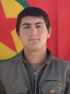 Reşit Tolhıldan - Mehmet Kara