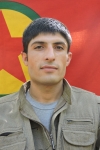 Deniz Herekol - Mehmet Selim Külter