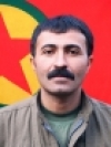 Deniz Alişer - Özgür Tektaş