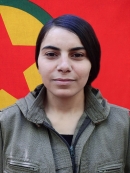 Avesta &Ccedil;iyay&icirc; &ndash; Fatma Firdevs G&ouml;k