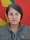 Amara Afrin - Ayşe Şexo