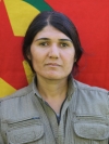 Agirî Gabar - Xezal Temel
