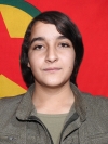 Deniz Aras Kobanê - Necla Adil Buzî