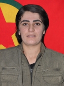 Avaş&icirc;n İntikam &ndash; Zeynep Ers&ouml;nmez