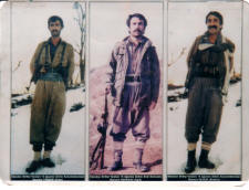 Agit - Bedtan - Erdal